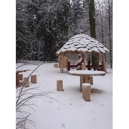 Am Dachsberg Apartment *