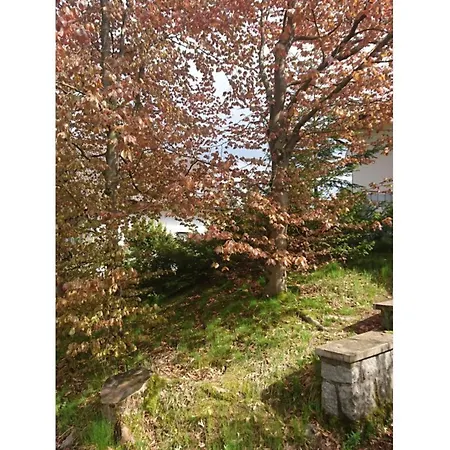 Apartment Am Dachsberg Burkhardtsdorf